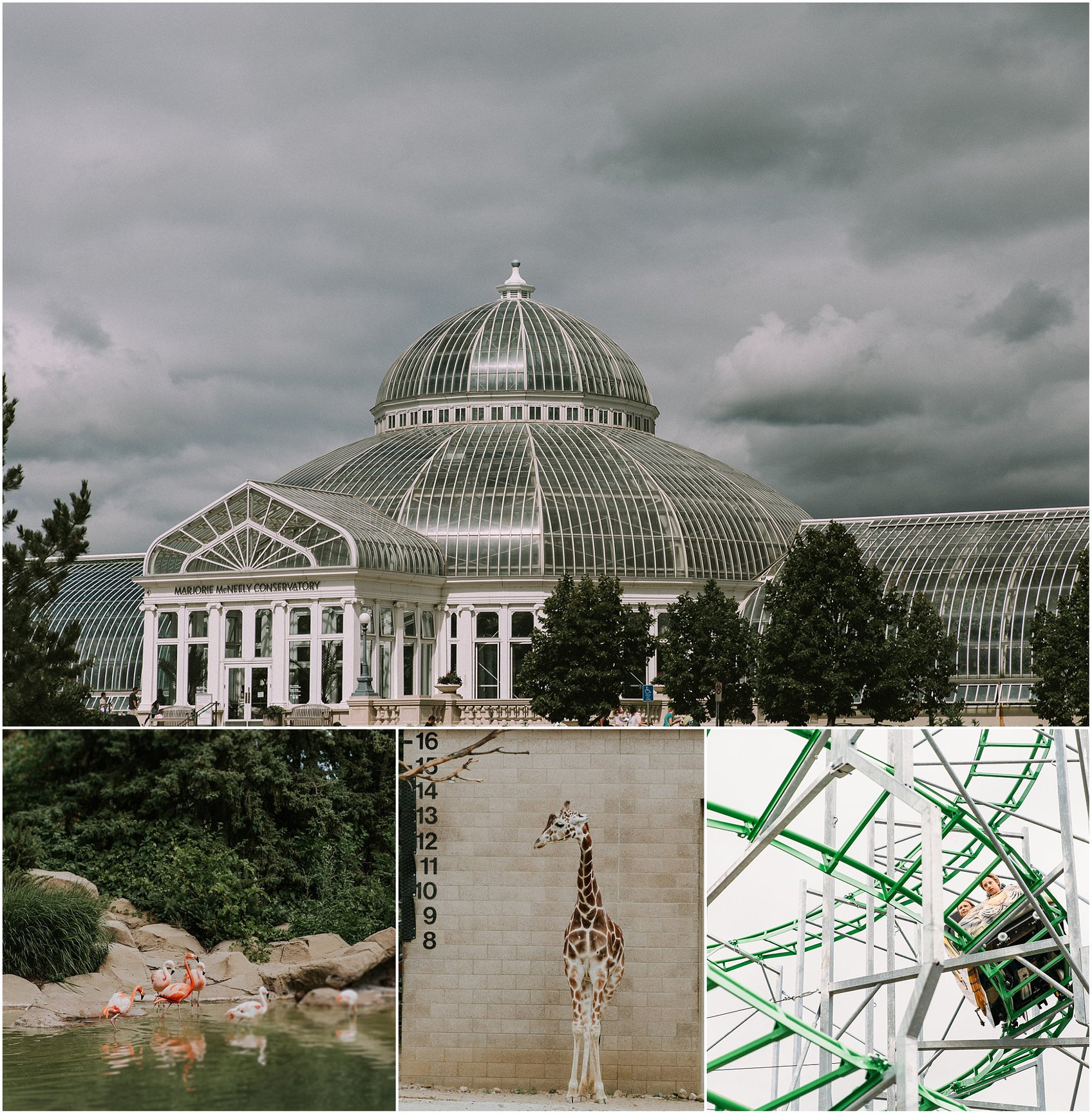 Como Park Photo Sessions