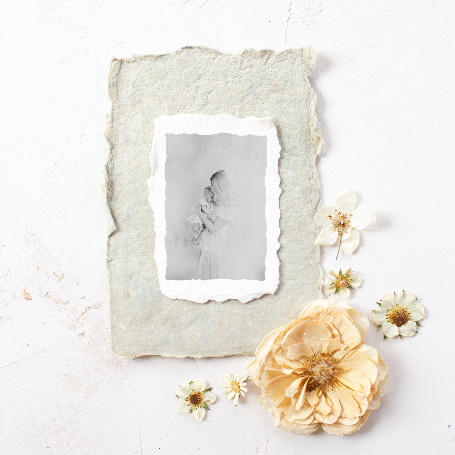 Minneapolis Motherhood Photographer