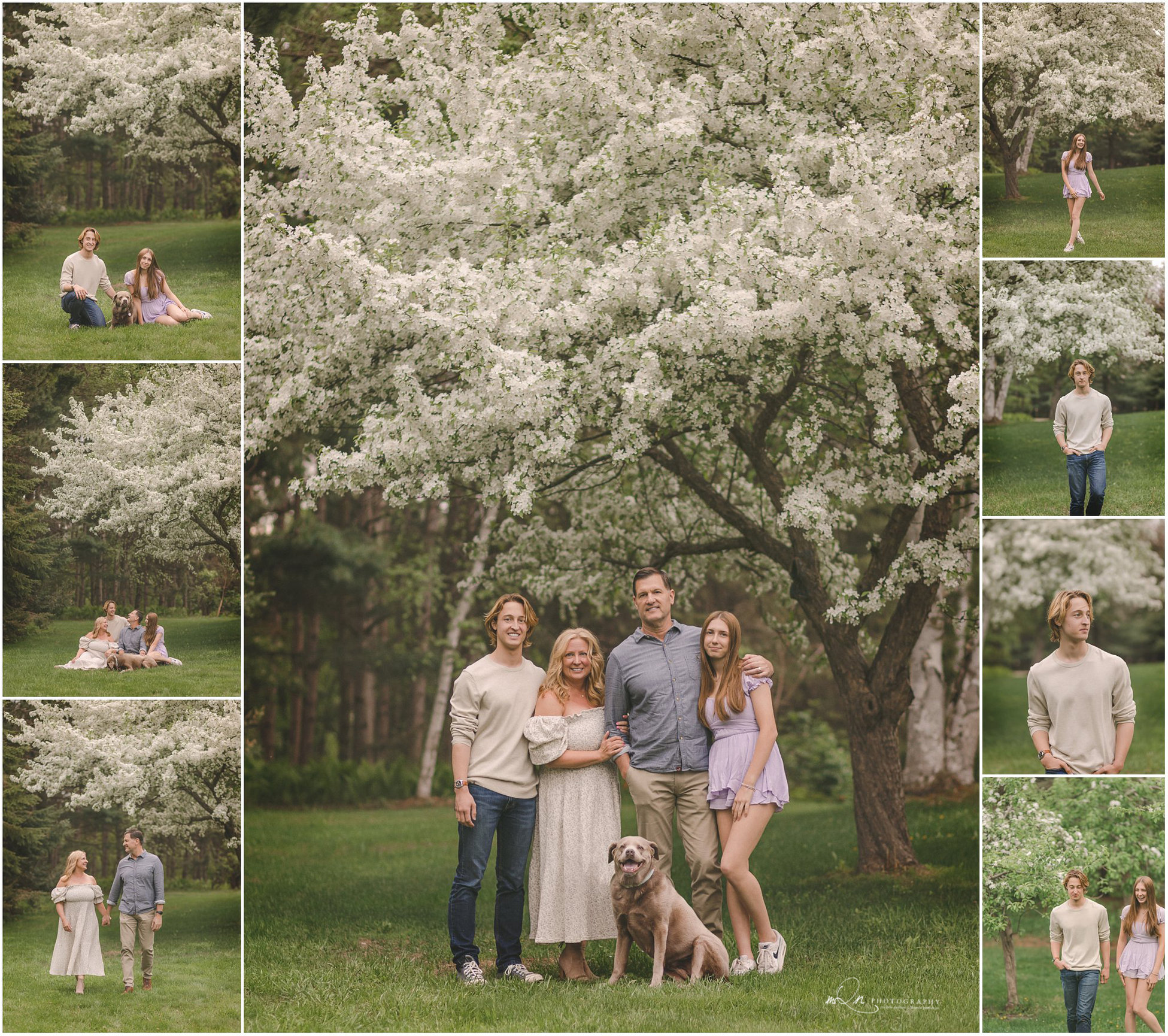 family in front of big white blooming tree in the spring in Forest lake Minnesota