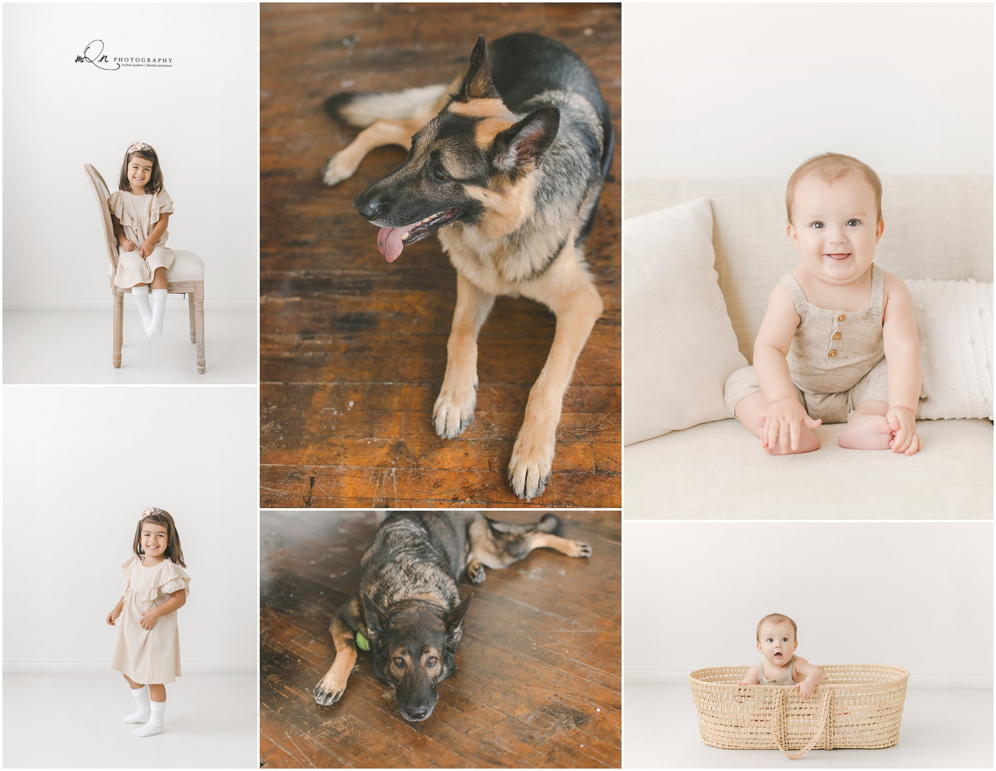 kids and dogs