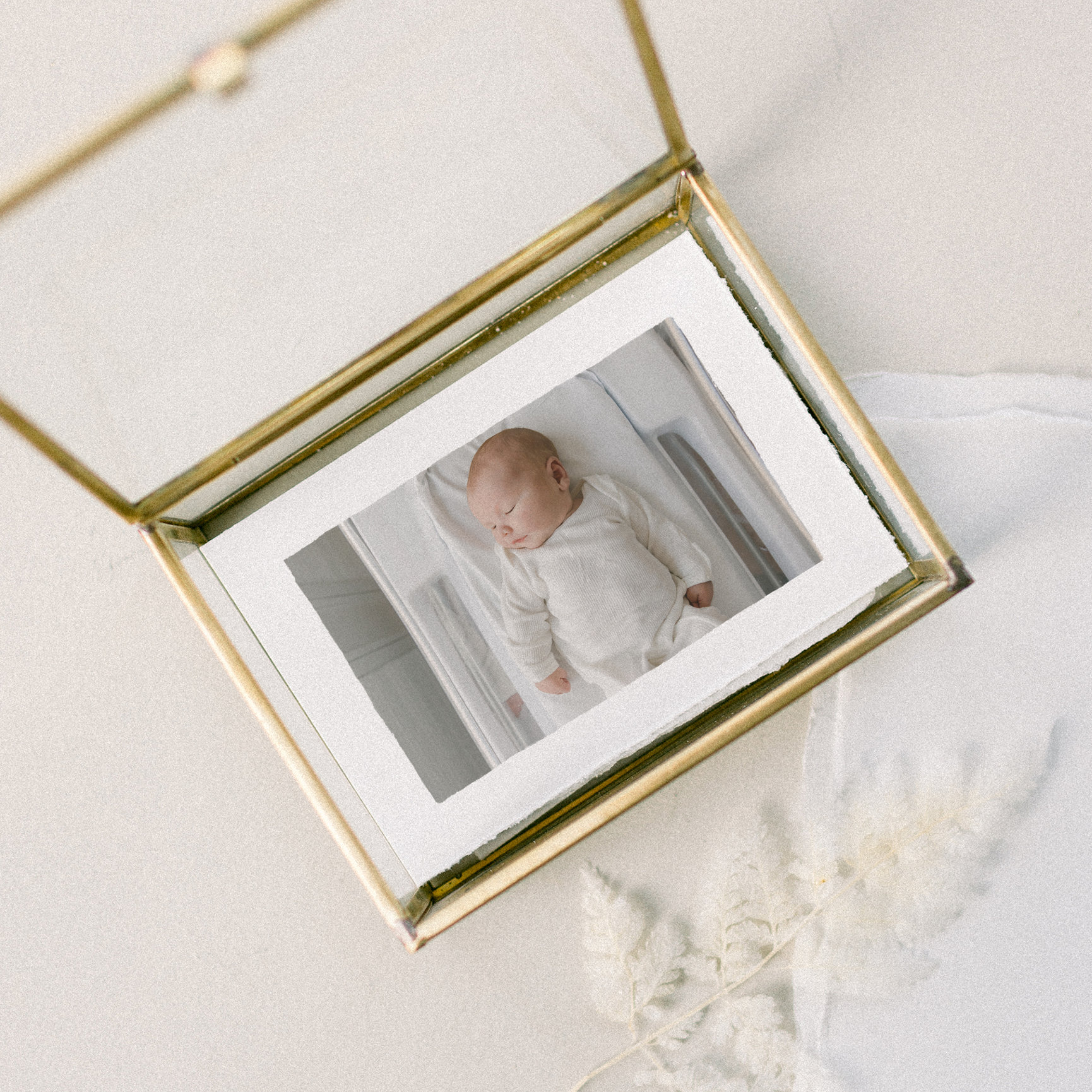 newborn photos in a keepsake glass case