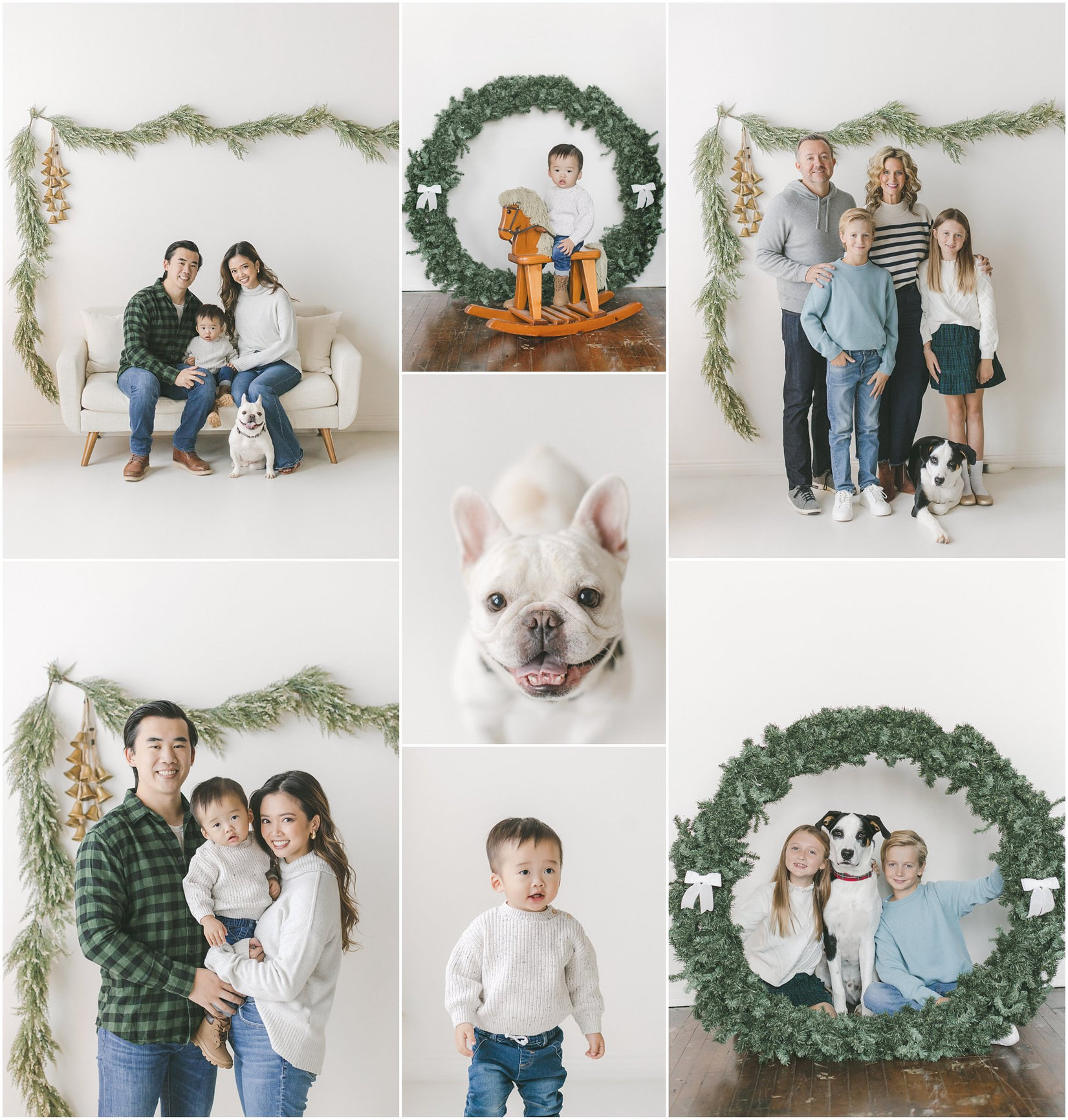 dogs welcomed at holiday mini sessions