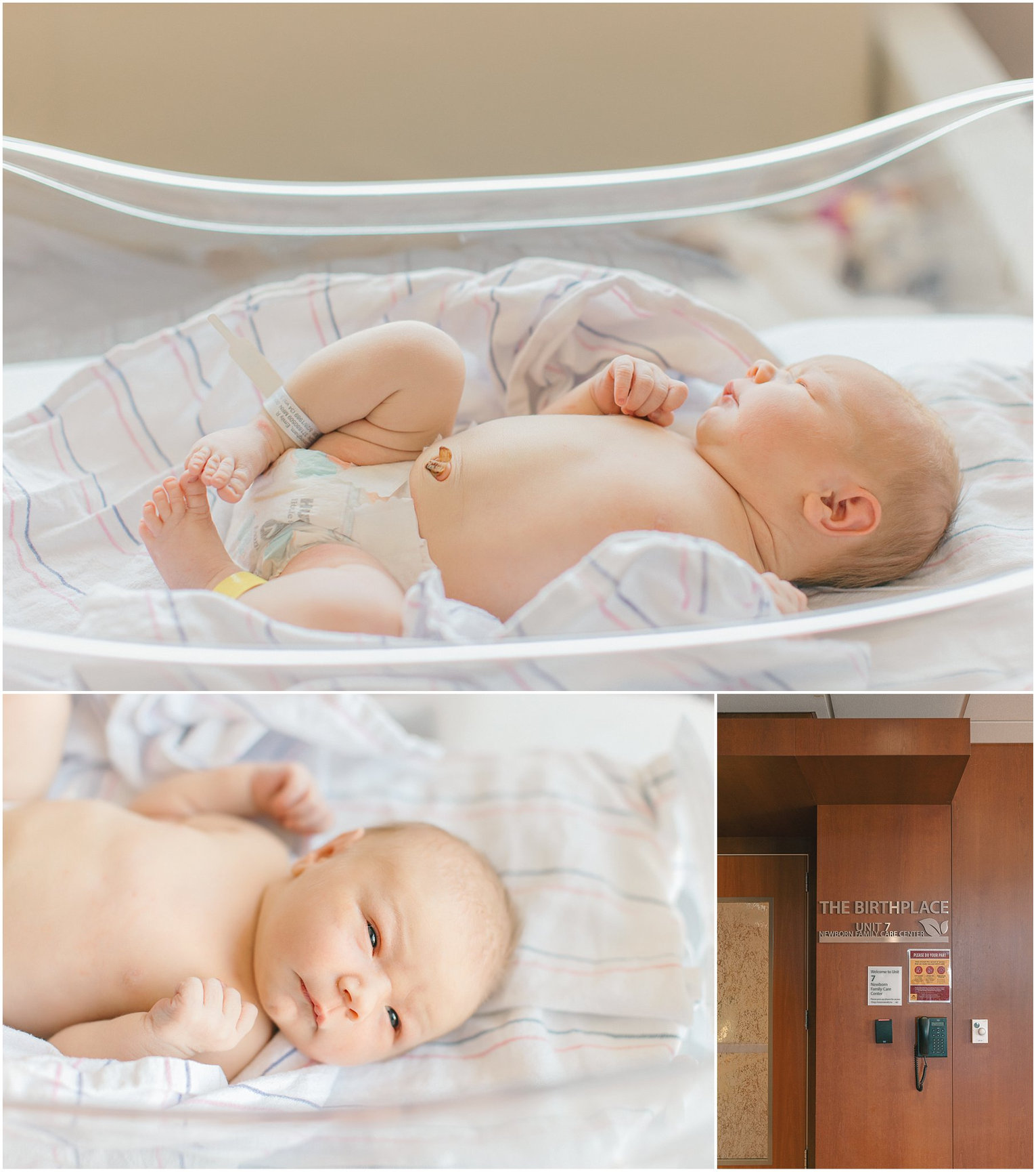 sweet baby fresh 48 hospital newborn photo session