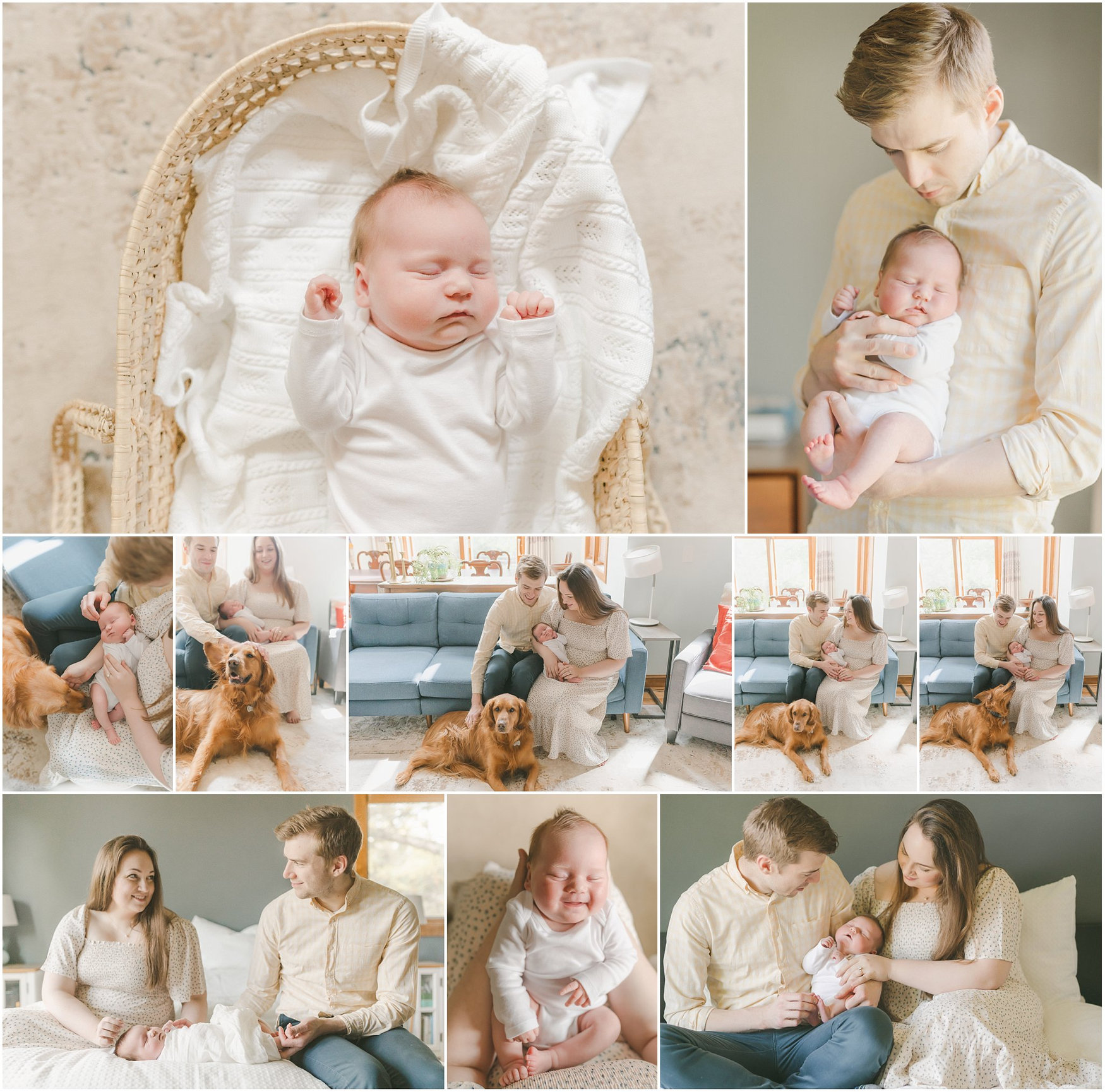 including the dog in your in home newborn photos Minneapolis