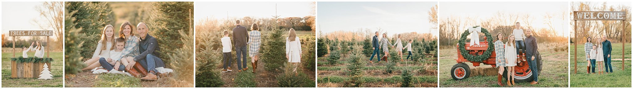 Kavan Family Christmas Tree Farm