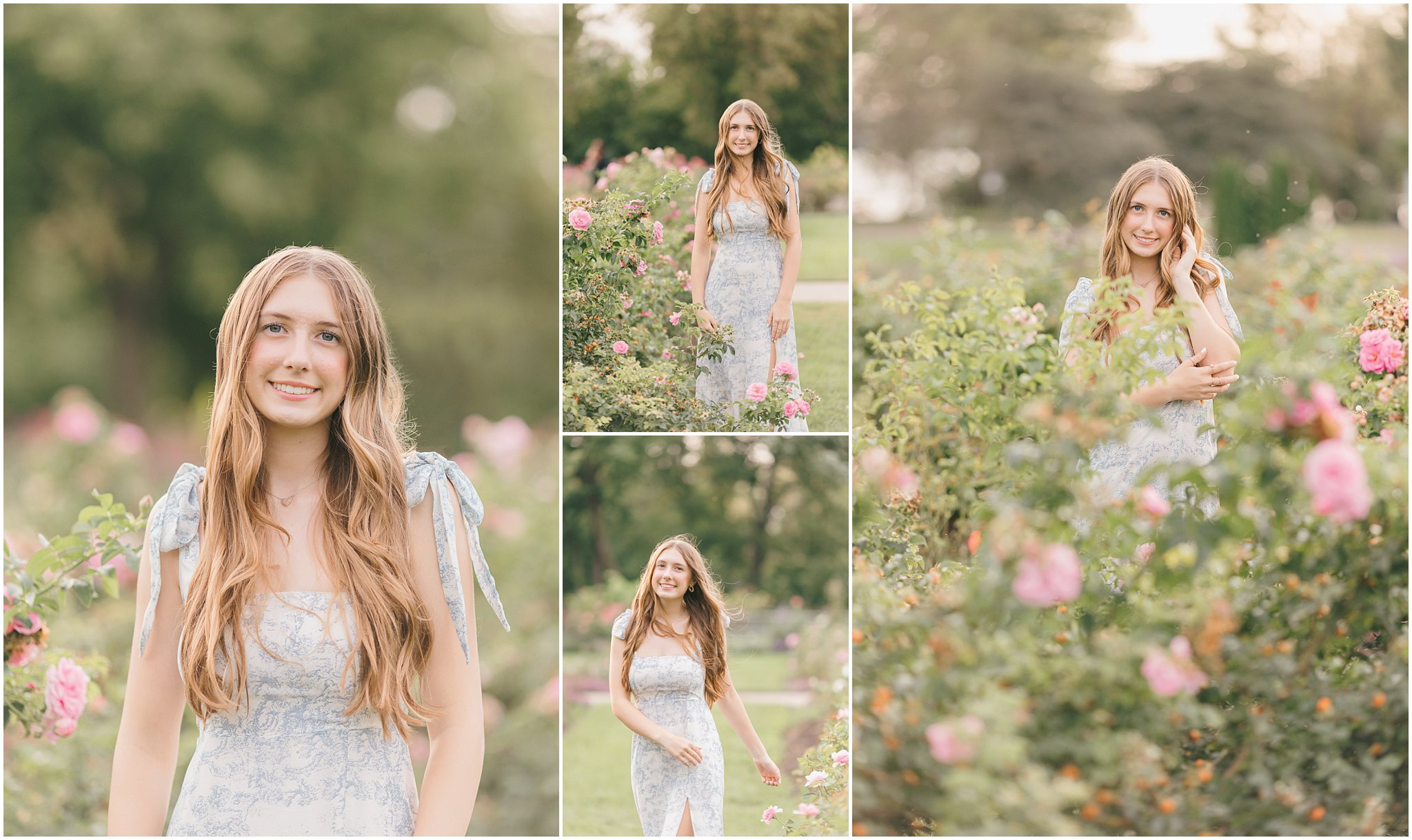 Lyndale Rose Garden Photography: A Stunning Backdrop for Family, Maternity, and Milestone Sessions