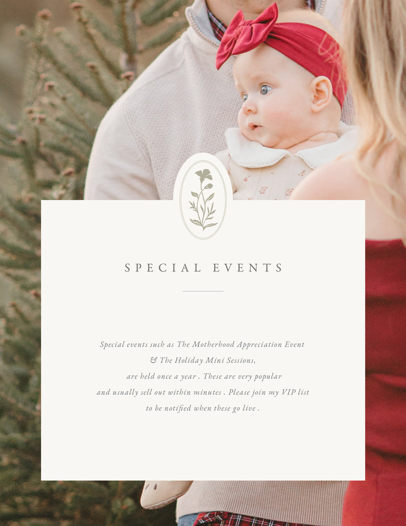 Curious about what a photo session with MQN Photography includes? This guide walks Minneapolis families through every thoughtful detail.