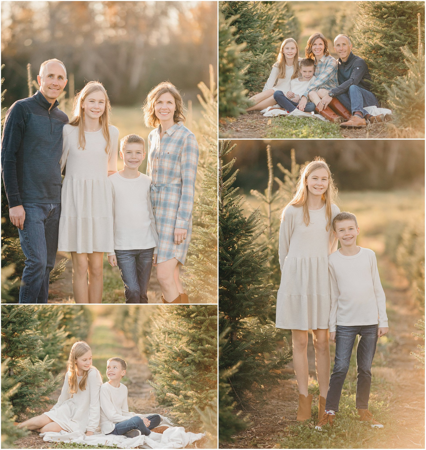 Thinking about holiday photos at a Christmas tree farm? Here’s what a lifestyle session looks like at Kavan Family Christmas Tree Farm in Lino Lakes, MN.