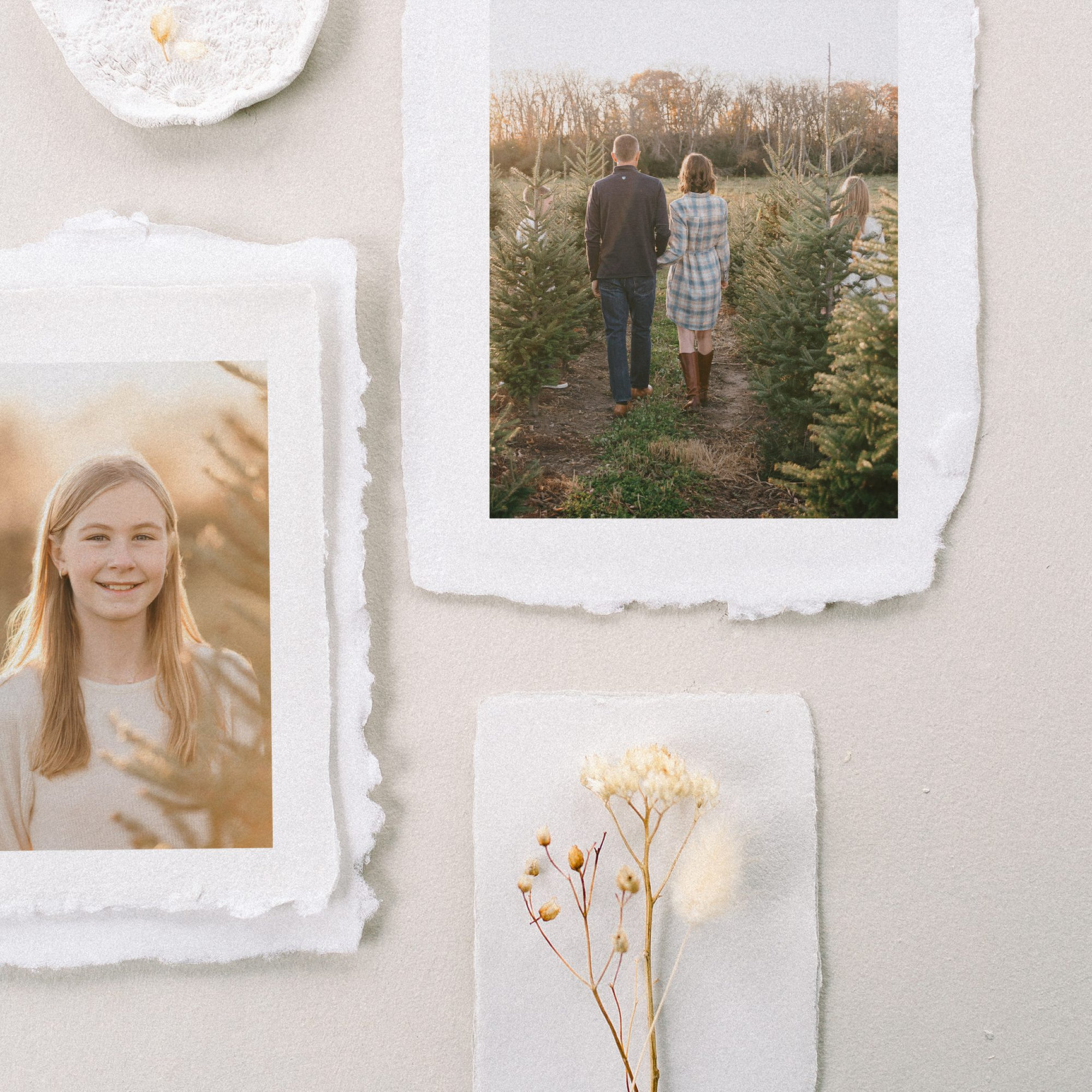 A behind-the-scenes look at a real family photo session at a Minnesota tree farm—complete with hot cocoa, tractors, and a whole lot of heart.