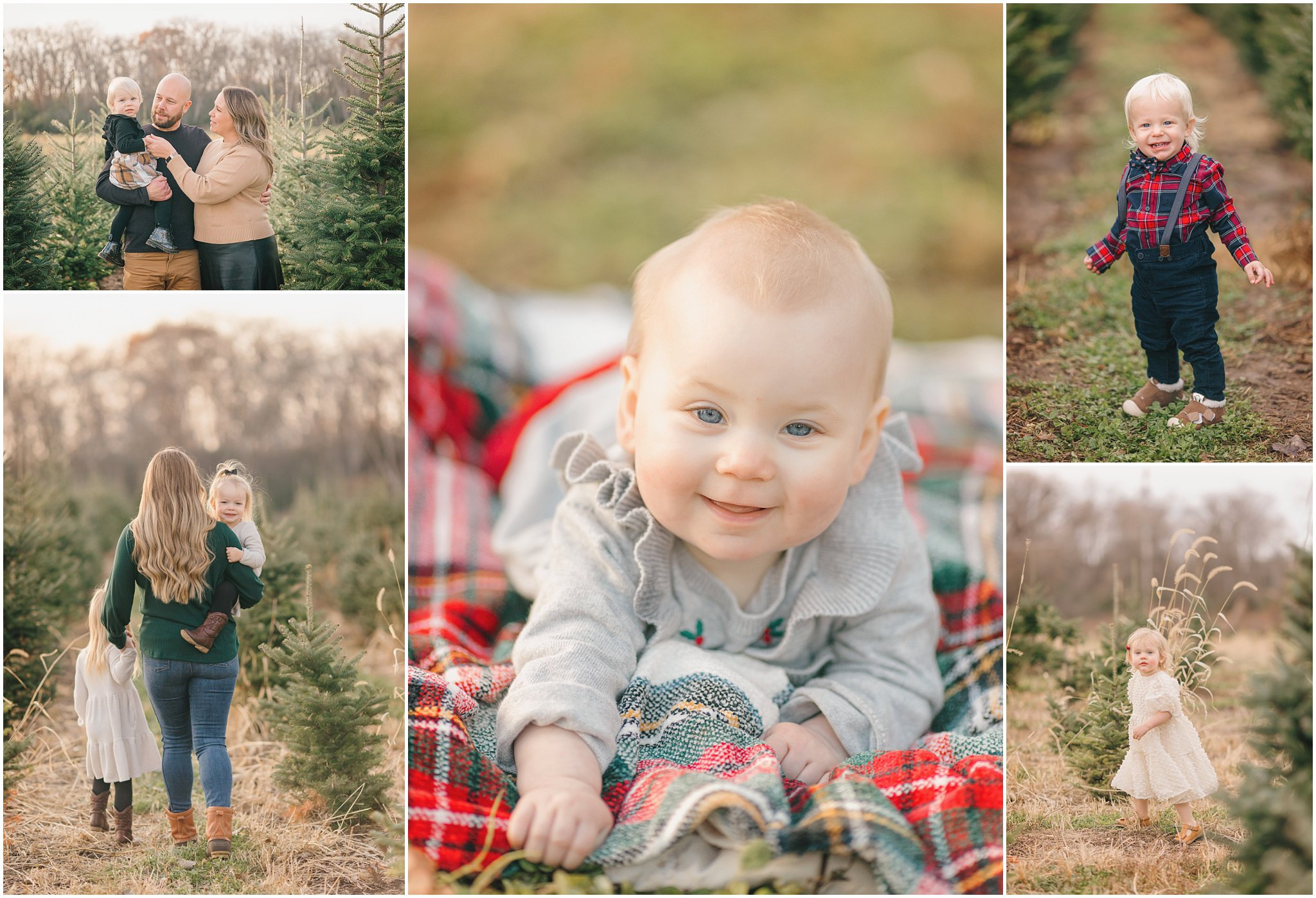 Wondering what a 10-minute holiday photo session looks like? These tree farm mini sessions at Kavan Family Christmas Tree Farm were short, sweet, and full of real smiles.