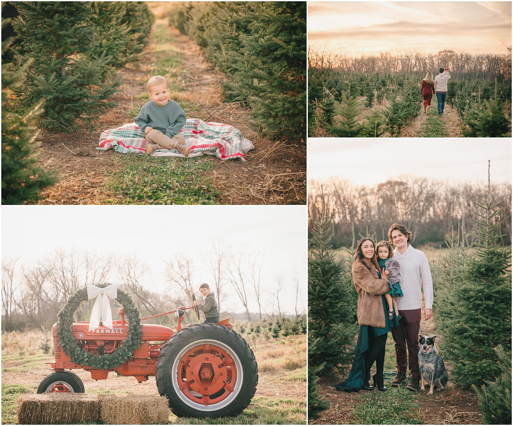 Holiday family photos without the chaos? Yes, please. These Christmas tree farm mini sessions at Kavan Family Christmas Tree Farm offer the perfect mix of candid and classic.