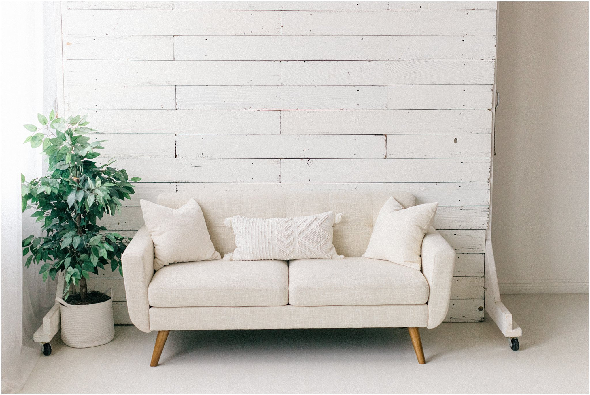 From studio glow-ups to spontaneous toddler spins, here’s everything new and next at this Twin Cities photo studio. Spoiler: holiday minis are coming.