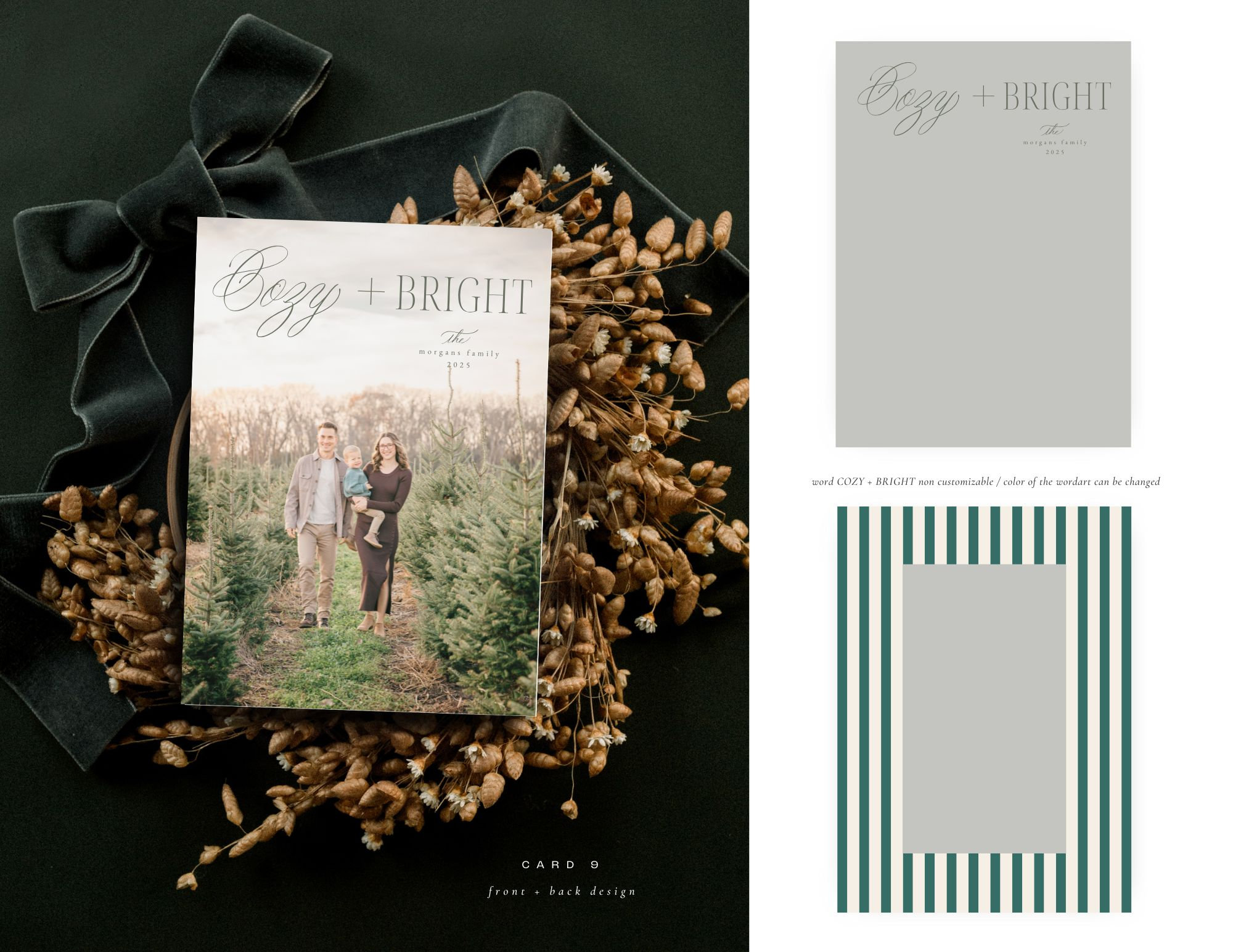 Christmas Card with a couple's photo, on a dark background with scattered seeds and a green ribbon.