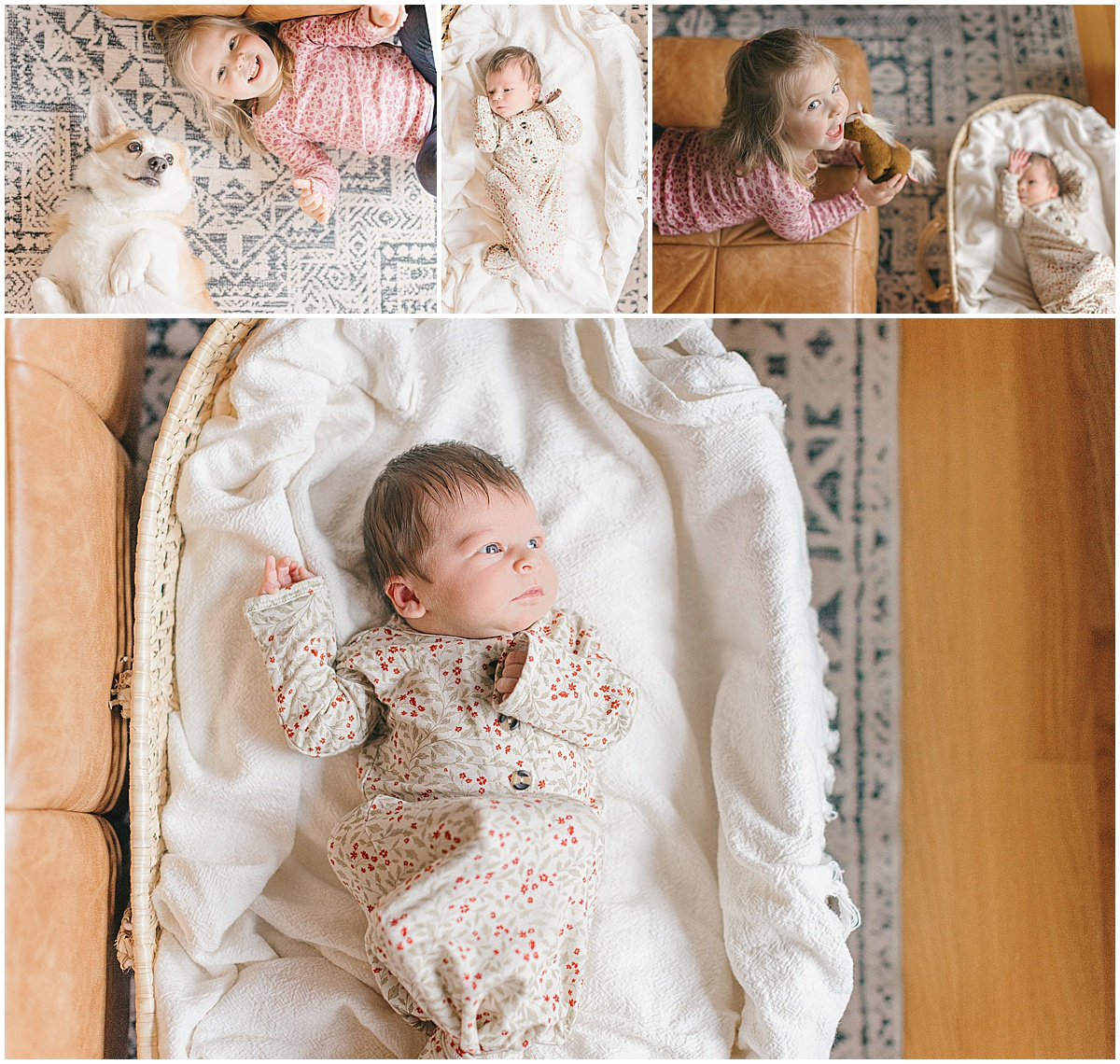 Collage of a baby in a cozy outfit lying in a basket and playing with a small dog.