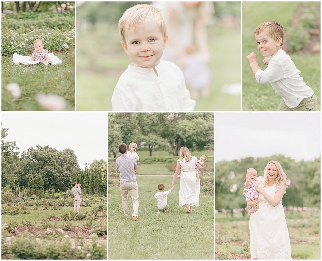 Natural family and child portraits photographed among the blooming roses at the Lyndale Rose Garden in Minneapolis