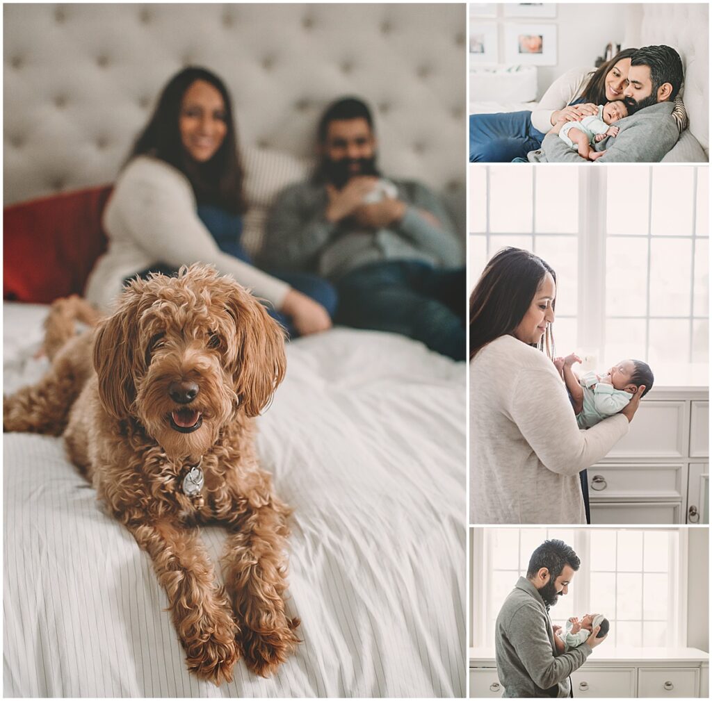 Collage of parents, newborn, and family dog during an in-home lifestyle newborn photography session in Minneapolis.